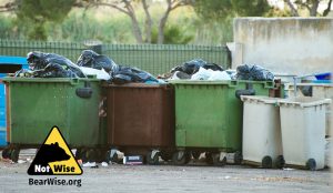 overflowing dumpsters with unsecured trash