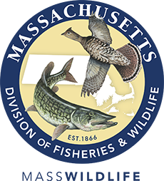 Massachusetts Wildlife logo