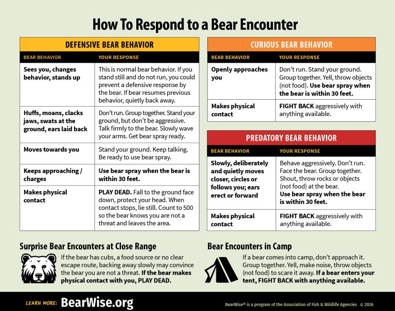 BearWise Encounters chart