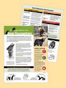 BearWise Encounters fact sheet